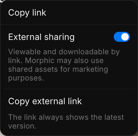 The share menu with Copy link, External sharing turned on and Copy external link