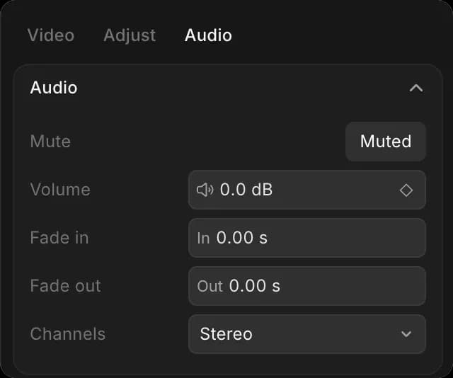 The 'Audio' tab with Mute, Volume, Fade in, Fade out and Channels settings